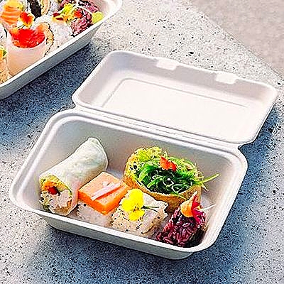Biodegradable Bagasse Lunch Box